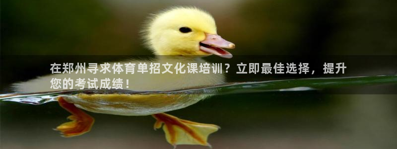 富联平台升 5O6917 平台：在郑州寻求体育单招文