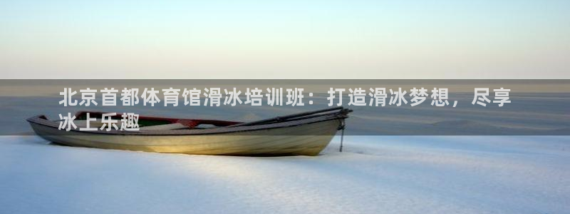 富联机器人产业研发基地：北京首都体育馆滑冰培训班：打