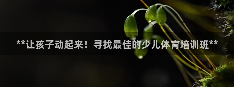 富联平台是什么：**让孩子动起来！寻找最佳的少儿体育