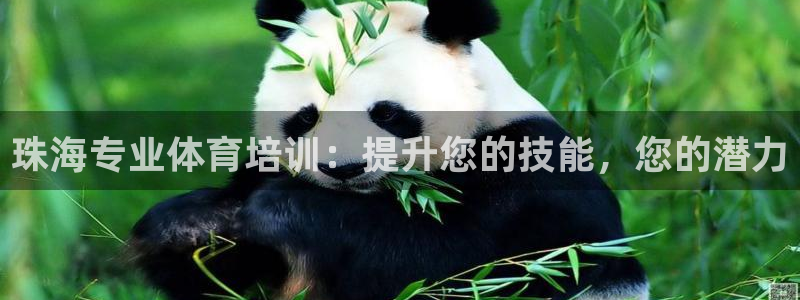 富联娱乐平台开户要钱吗现在：珠海专业体育培训：提升您
