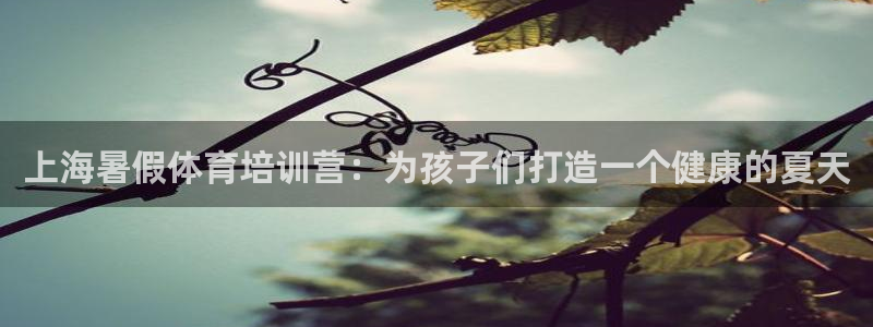 富联申购什么时候开盘：上海暑假体育培训营：为孩子们打