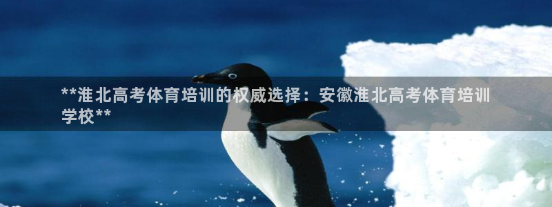 富联集团最新消息股价：**淮北高考体育培训的权威选择