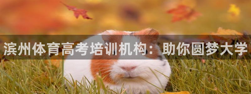 富联官网代理系列产品：滨州体育高考培训机构：助你圆梦