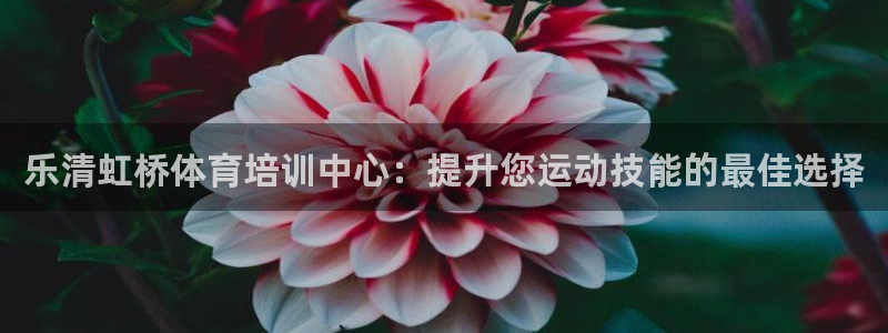 富联娱乐平台开户条件是什么：乐清虹桥体育培训中心：提