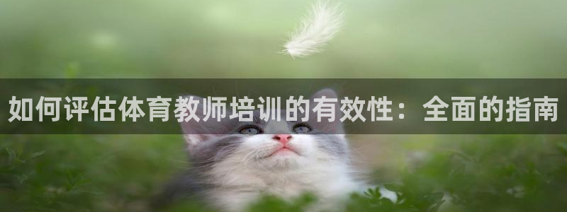富联平台飞 411o31 富联：如何评估体育教师培训