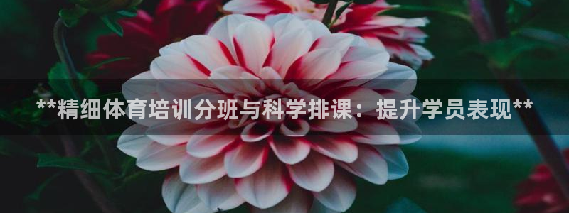 富联娱乐客户端app下载服务器错误：**精细体育培训