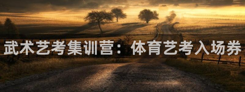 富联平台叩 411O31 富联：武术艺考集训营：体育