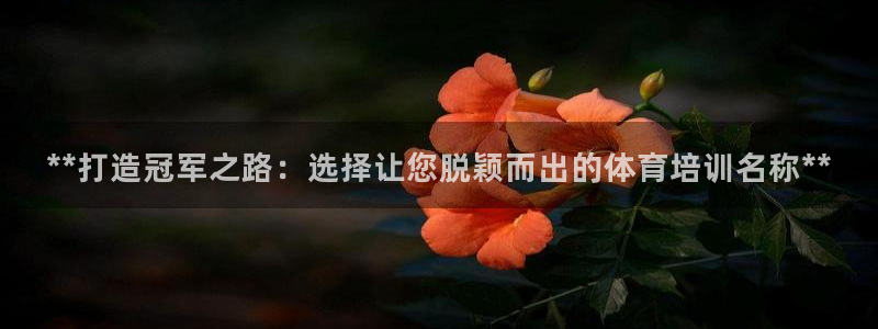富联申购是什么股票啊：**打造冠军之路：选择让您脱颖