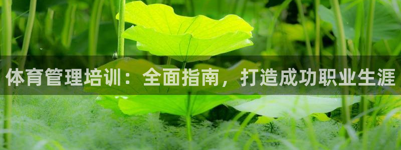 富联网是什么意思：体育管理培训：全面指南，打造成功职