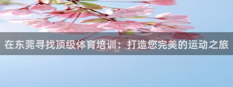 富联娱乐戚少风：在东莞寻找顶级体育培训：打造您完美的