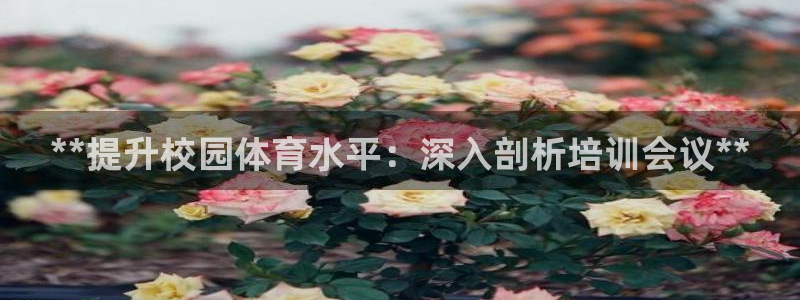 富联平台注册登录入口：**提升校园体育水平：深入剖析培训会议
