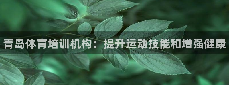 富联股份股价：青岛体育培训机构：提升运动技能和增强健