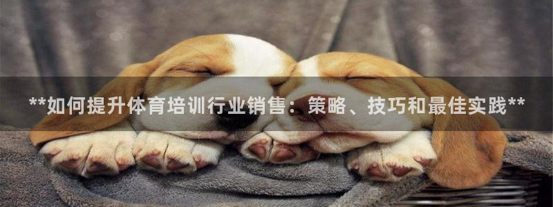 富联官网注册：**如何提升体育培训行业销售：策略、技