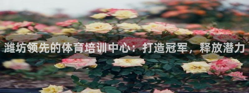 富联芯科技：潍坊领先的体育培训中心：打造冠军，释放潜