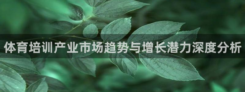 富联一区属于哪个街道：体育培训产业市场趋势与增长潜力