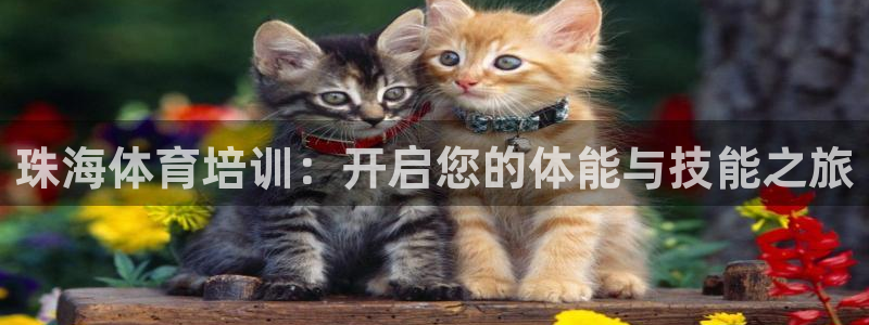 富联平台先选 58534I 富联：珠海体育培训：开启