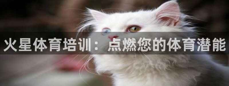 富联官方网站入口下载：火星体育培训：点燃您的体育潜能