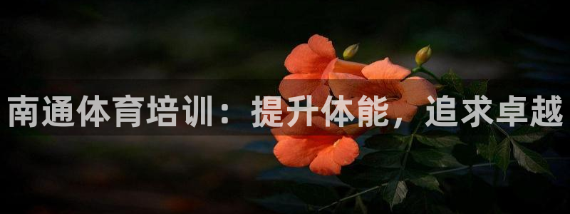 富联平台招商：南通体育培训：提升体能，追求卓越