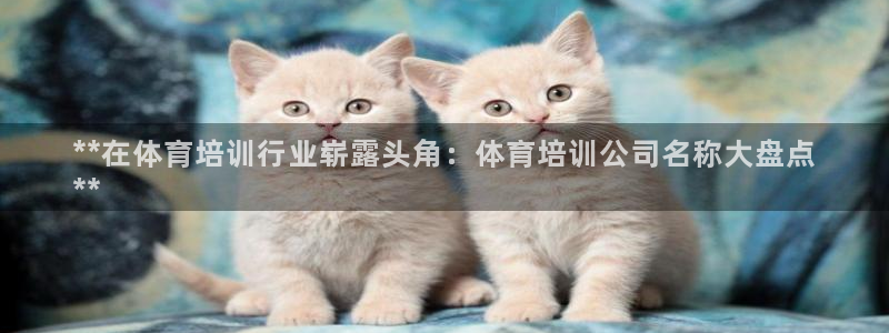 富联娱乐会员多少钱：**在体育培训行业崭露头角：体育