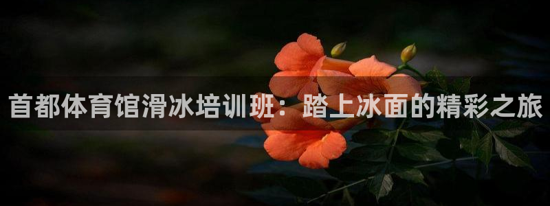 富联平台官网登录入口手机版：首都体育馆滑冰培训班：踏上冰面的