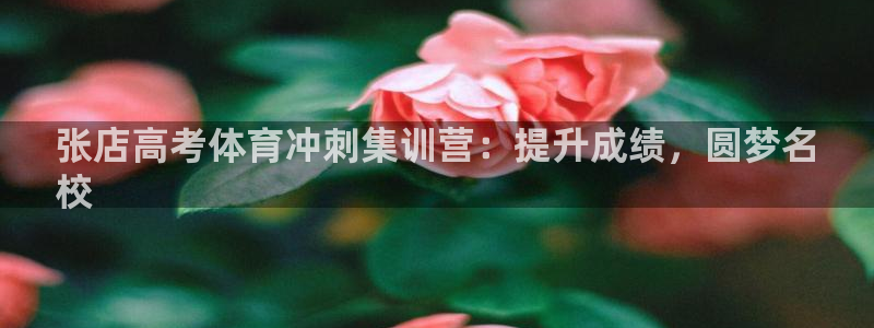 富联娱乐讲7O777：张店高考体育冲刺集训营：提升成