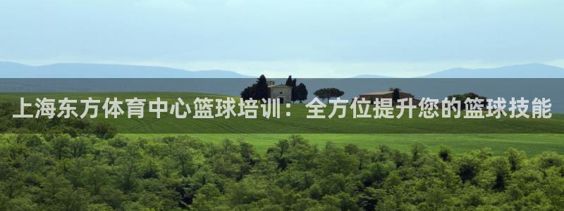 富联娱乐是什么时候开的股票：上海东方体育中心篮球培训：全方位