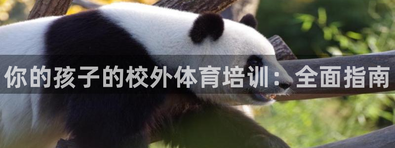 富联平台客 37oo735：你的孩子的校外体育培训：