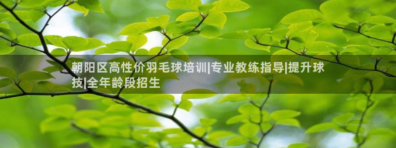 富联娱乐正规吗安全吗：朝阳区高性价羽毛球培训|专业教