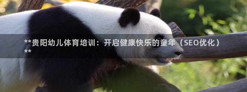 富联官网注册不了账号怎么办：**贵阳幼儿体育培训：开