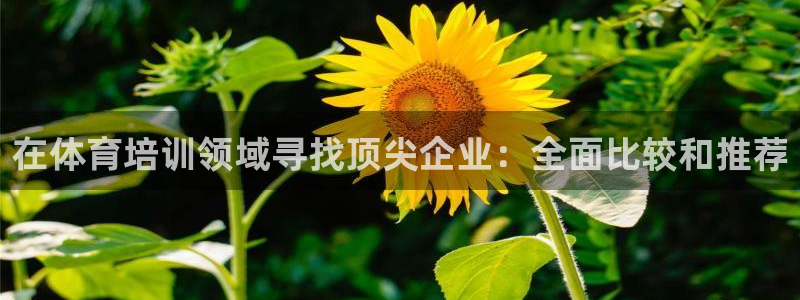 富联小区：在体育培训领域寻找顶尖企业：全面比较和推荐