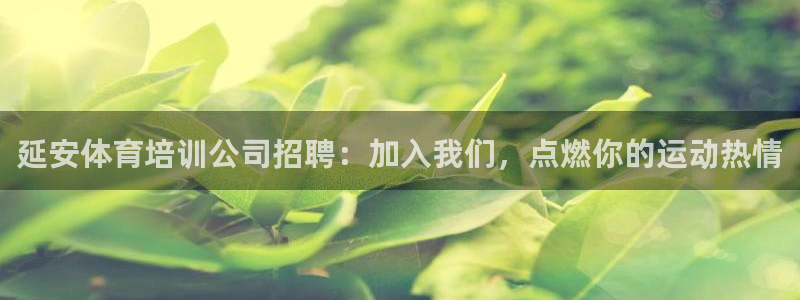 富联娱乐正规吗安全吗：延安体育培训公司招聘：加入我们