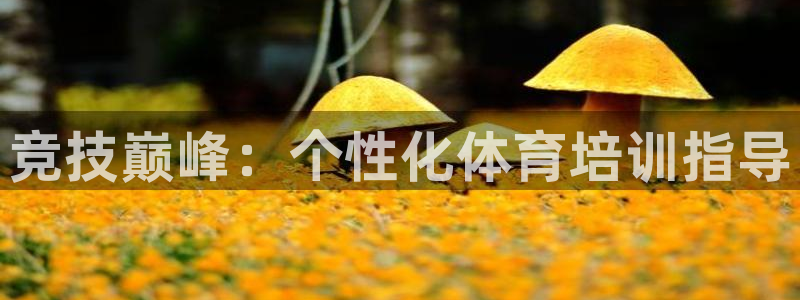 富联丰地产交易平台