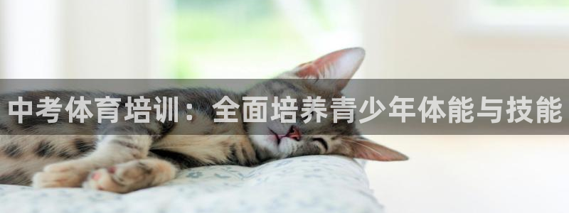 富联集团做什么的呀