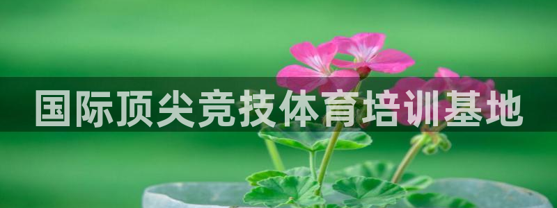 富联娱乐客户端app下载服务器异常怎么办