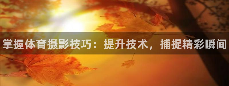 共富联盟店是不是真的：掌握体育摄影技巧：提升技术，捕