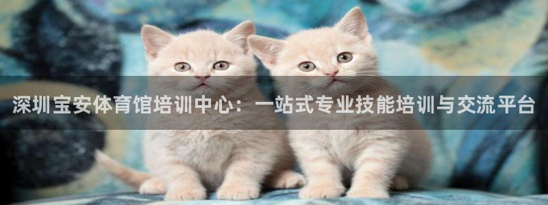 富联平台先 3.7.OO.7.3.5：深圳宝安体育馆