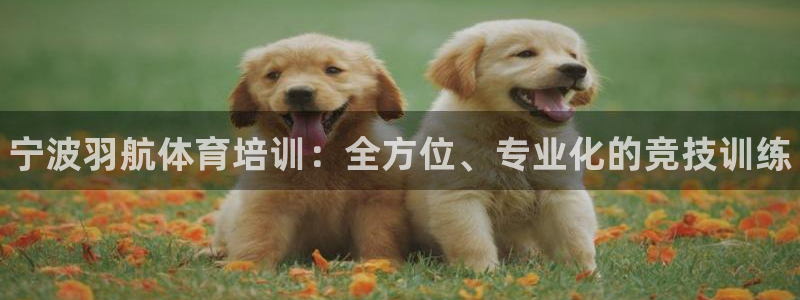 富联娱乐平台是什么平台：宁波羽航体育培训：全方位、专