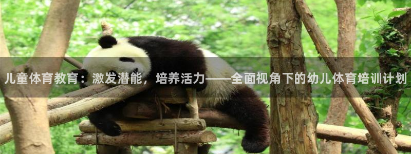 富联平台登陆：儿童体育教育：激发潜能，培养活力——全面视角下