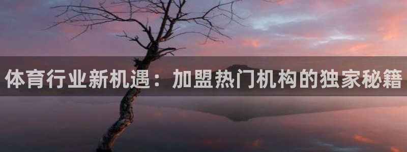 富联是什么：体育行业新机遇：加盟热门机构的独家秘籍