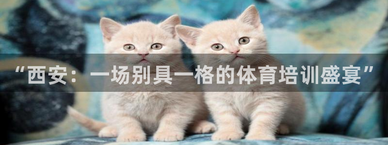 富联商厦：“西安：一场别具一格的体育培训盛宴”